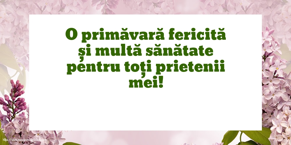 Primavara O primăvară fericită și multă sănătate pentru toți prietenii mei!