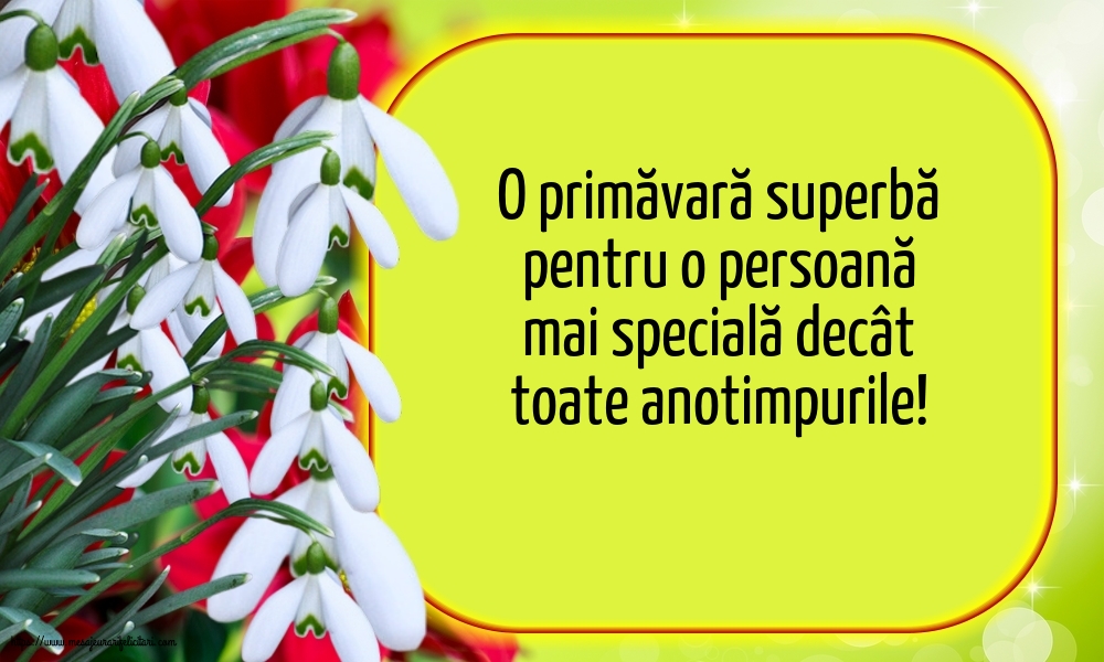 Primavara O primăvară superbă!
