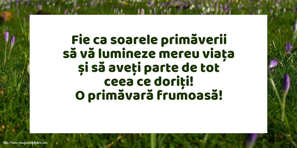 Primavara O primăvară frumoasă!