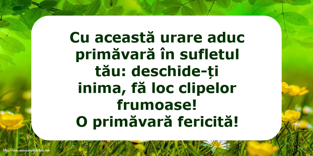 Primavara O primăvară fericită!