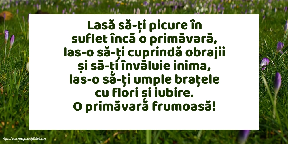 Primavara O primăvară frumoasă!