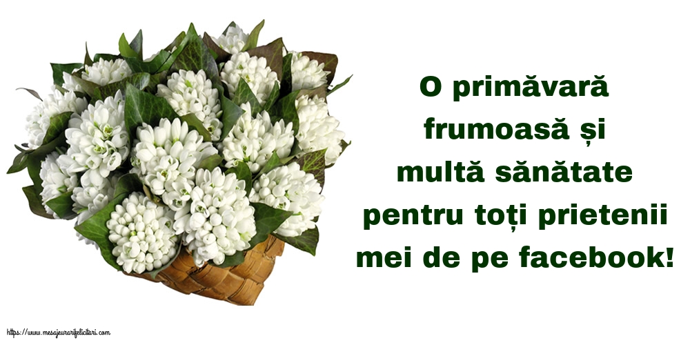 O primăvară frumoasă!
