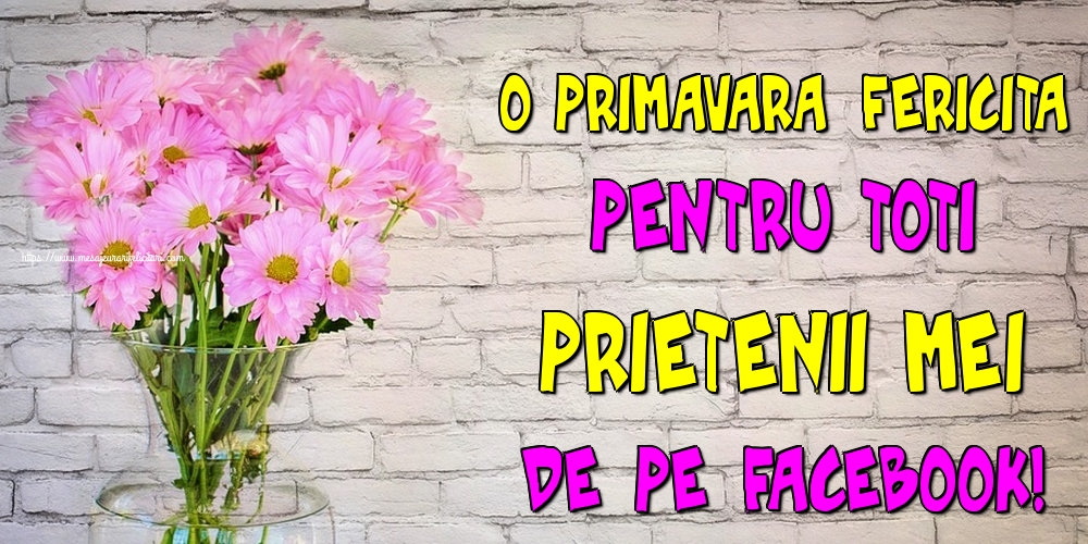 O primavara fericita pentru toti prietenii mei de pe facebook!