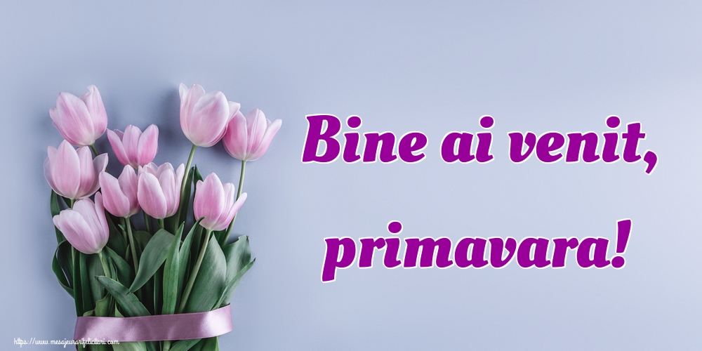 Bine ai venit, primavara!