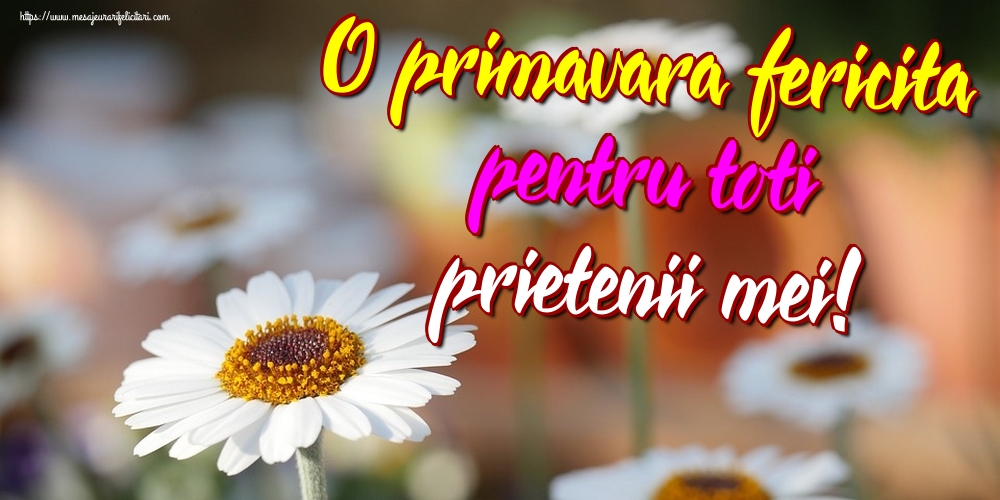 O primavara fericita pentru toti prietenii mei!