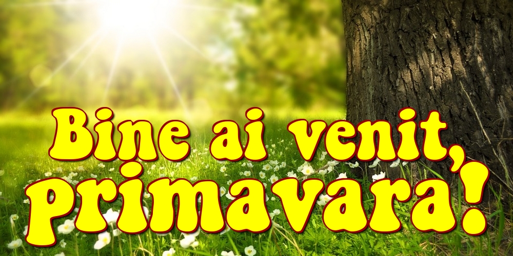 Bine ai venit, primavara!