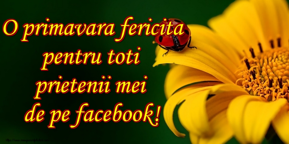 O primavara fericita pentru toti prietenii mei de pe facebook!
