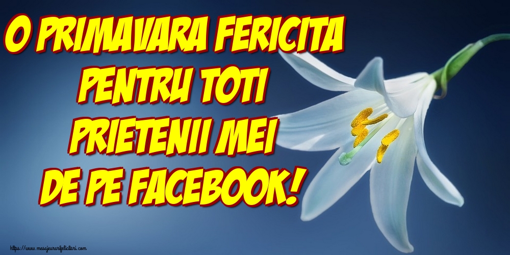 O primavara fericita pentru toti prietenii mei de pe facebook!