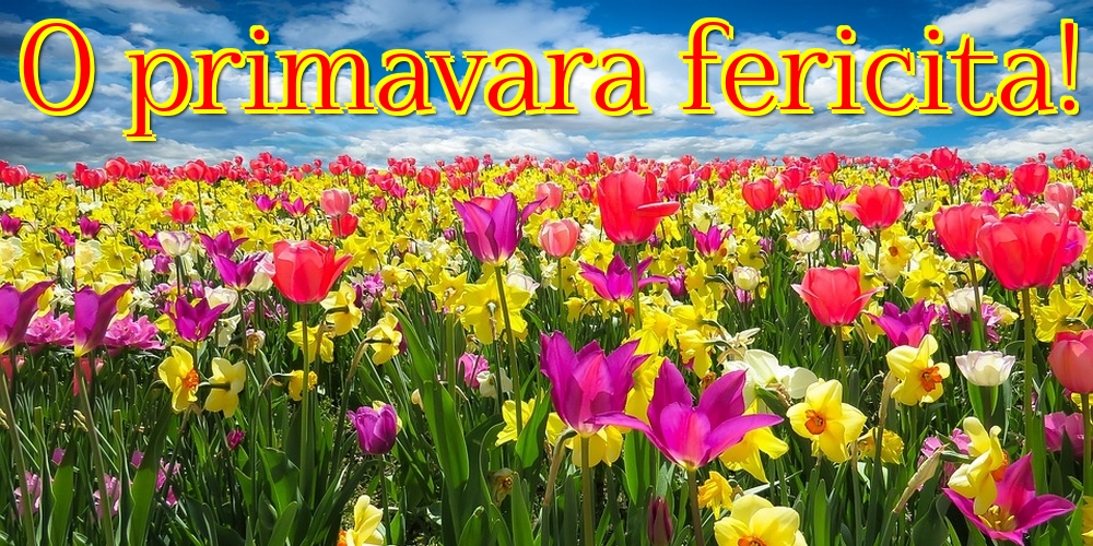 O primavara fericita!