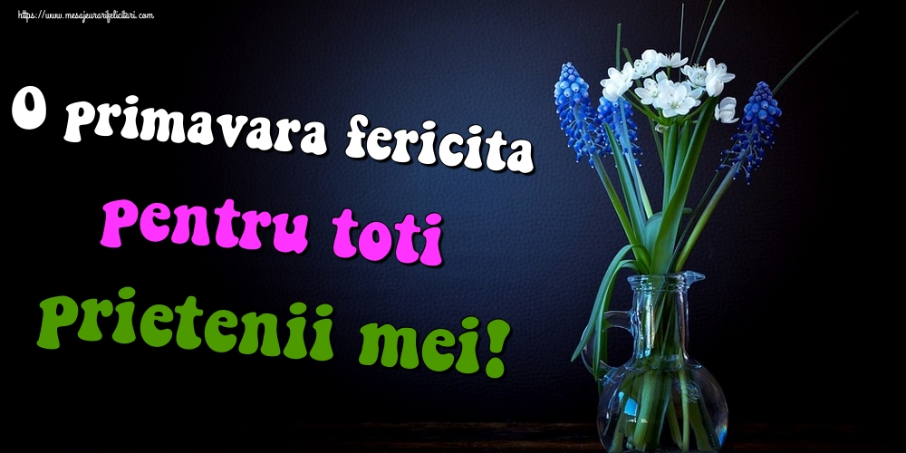 O primavara fericita pentru toti prietenii mei!