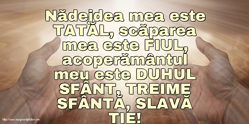 Religioase TREIME SFÂNTĂ, SLAVĂ ȚIE!
