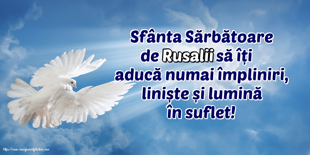 Sfânta Sărbătoare de Rusalii să îți aducă numai împliniri, liniște și lumină în suflet!