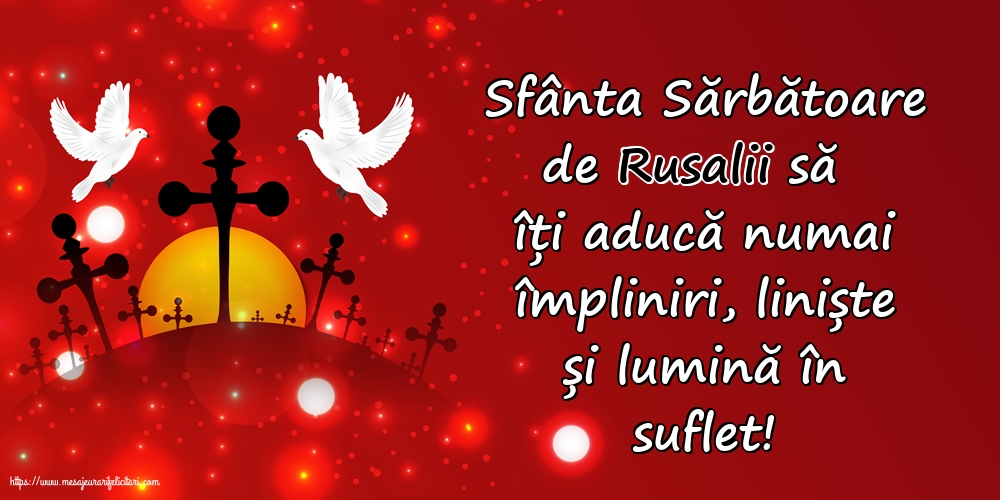 Sfânta Sărbătoare de Rusalii să îți aducă numai împliniri, liniște și lumină în suflet!