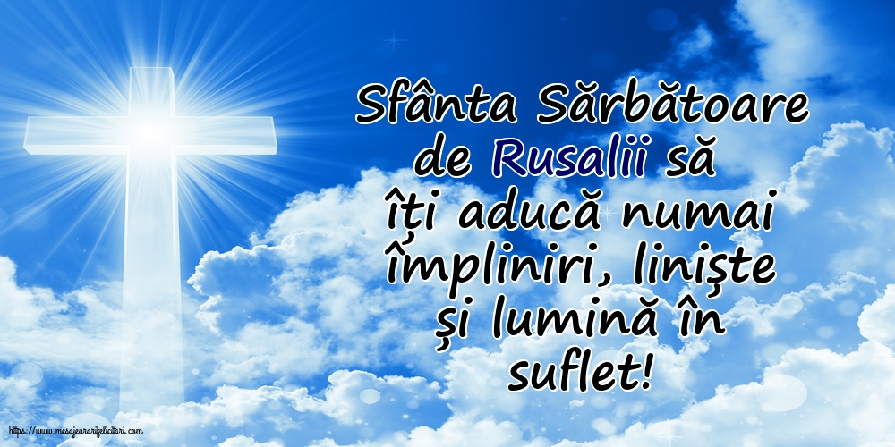 Rusalii Sfânta Sărbătoare de Rusalii să îți aducă numai împliniri, liniște și lumină în suflet!