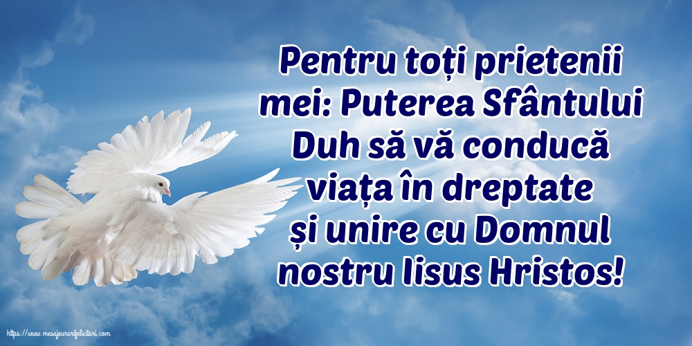 Pentru toți prietenii mei