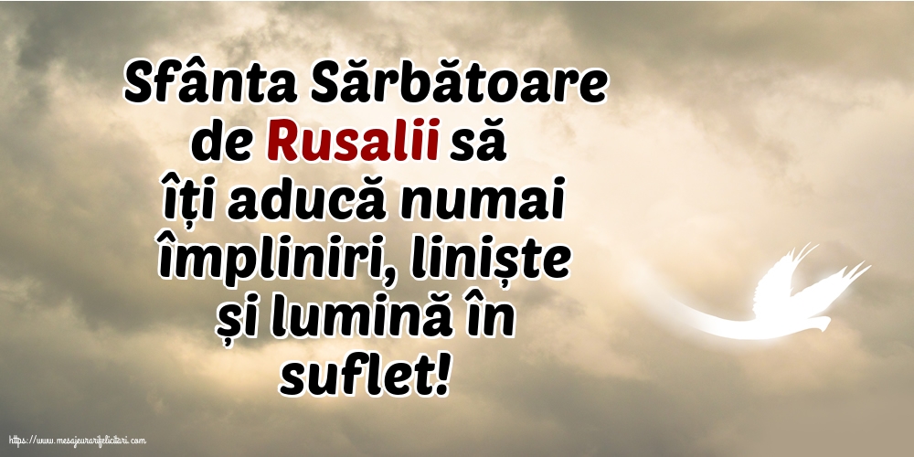 Rusalii Sfânta Sărbătoare de Rusalii să îți aducă numai împliniri, liniște și lumină în suflet!