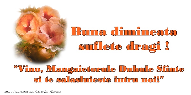 Buna dimineata suflete dragi! Vino, Mangaietorule Duhule Sfinte si te salasluieste intru noi!