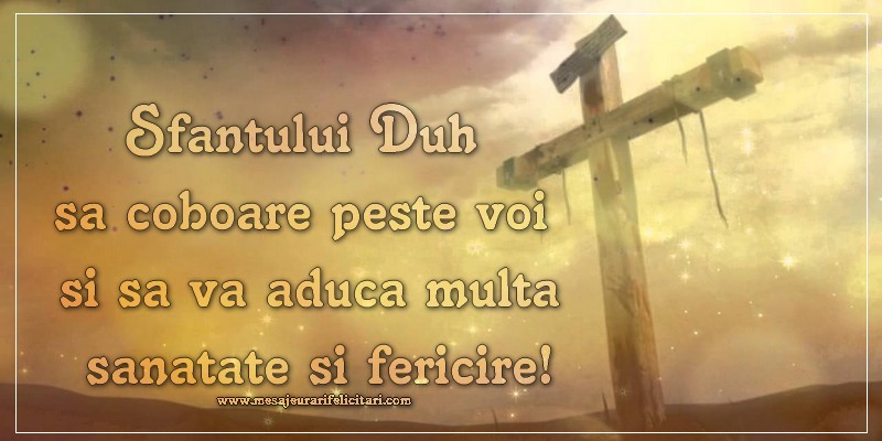 Sfantului Duh sa coboare peste voi si sa va aduca multa sanatate si fericire!