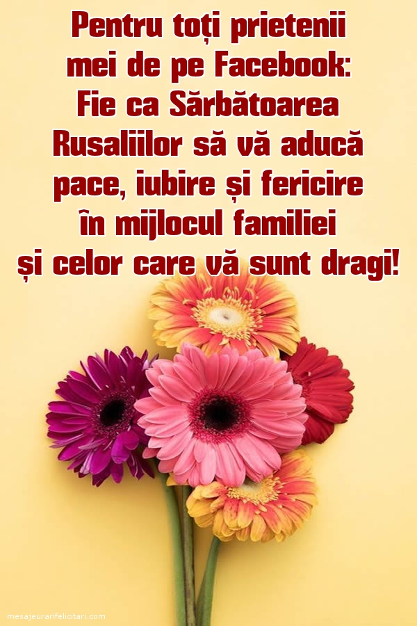 Felicitari de Rusalii - Pentru toți prietenii mei de pe Facebook - mesajeurarifelicitari.com
