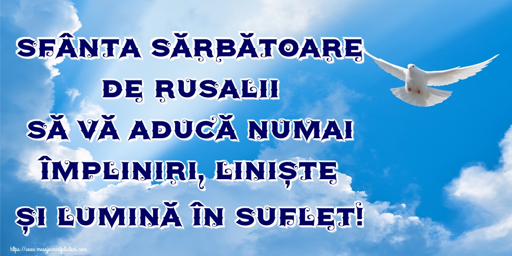 Sfânta Sărbătoare de Rusalii să vă aducă numai împliniri, liniște și lumină în suflet!