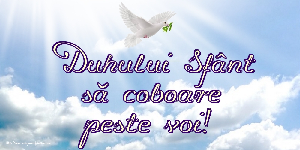 Duhului Sfânt să coboare peste voi!