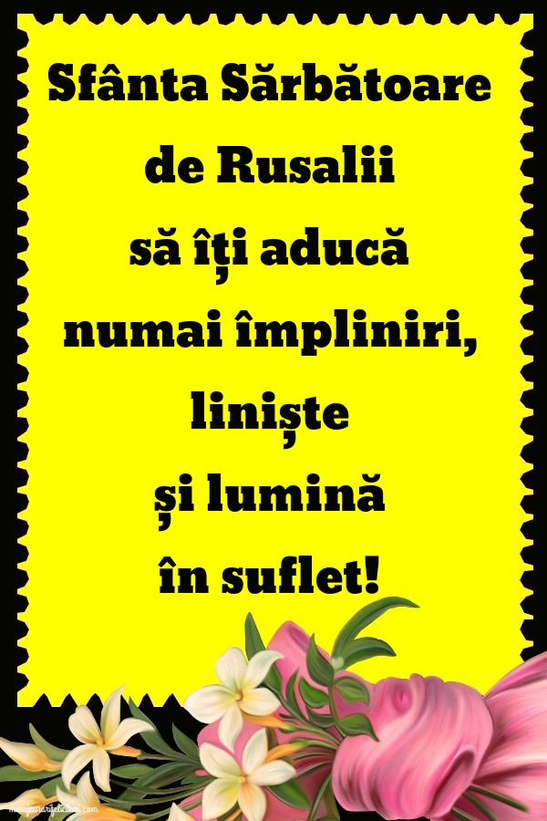 Sfânta Sărbătoare de Rusalii să îți aducă numai împliniri, liniște și lumină în suflet!
