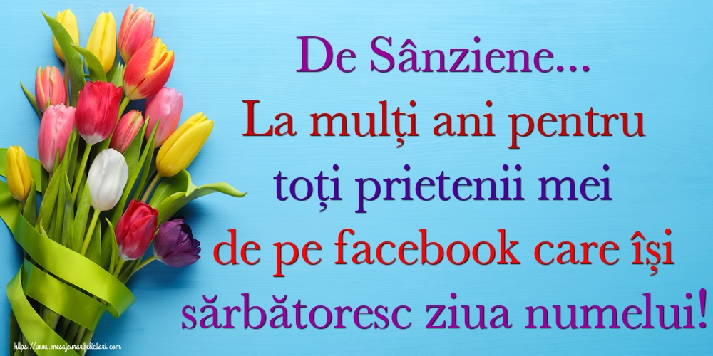De Sânziene... La mulți ani pentru toți prietenii mei de pe facebook care își sărbătoresc ziua numelui!