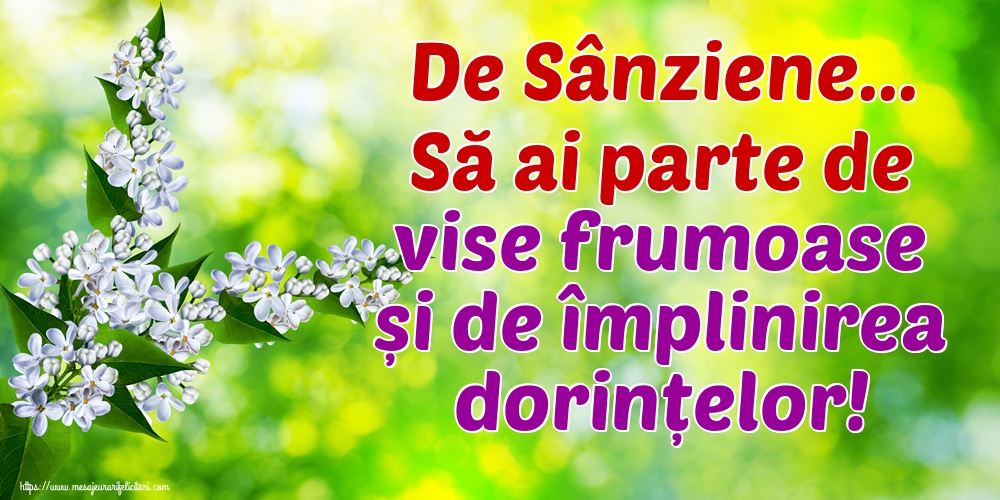 Felicitari de Sanziene - De Sânziene... Să ai parte de vise frumoase și de împlinirea dorințelor!