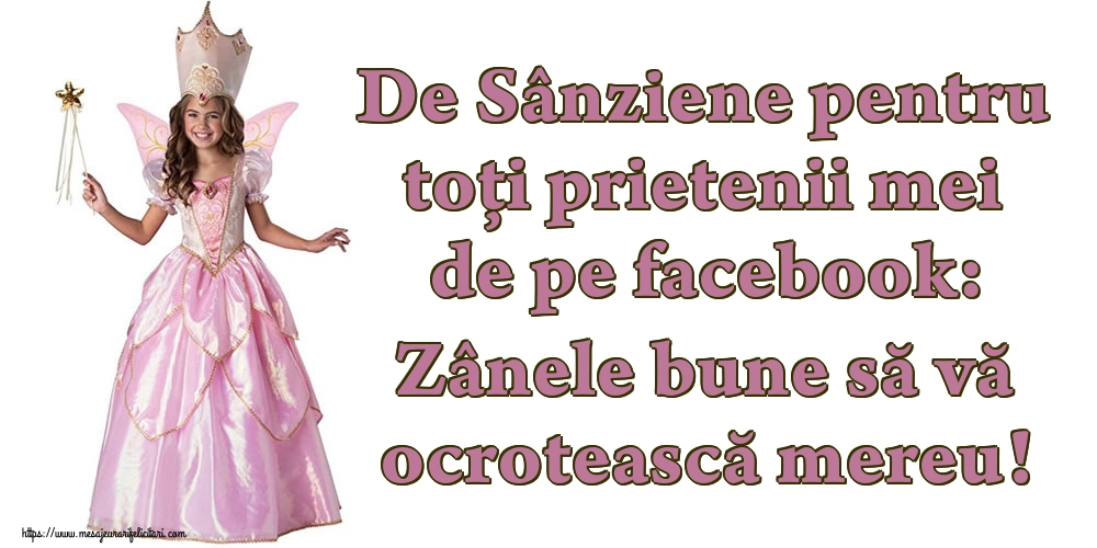 Felicitari de Sanziene - De Sânziene pentru toți prietenii mei de pe facebook: Zânele bune să vă ocrotească mereu!