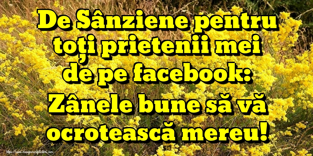 Felicitari de Sanziene - De Sânziene pentru toți prietenii mei de pe facebook: Zânele bune să vă ocrotească mereu! - mesajeurarifelicitari.com