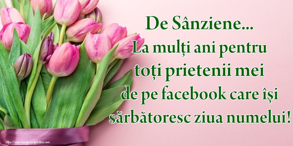 Felicitari de Sanziene - De Sânziene... La mulți ani pentru toți prietenii mei de pe facebook care își sărbătoresc ziua numelui!