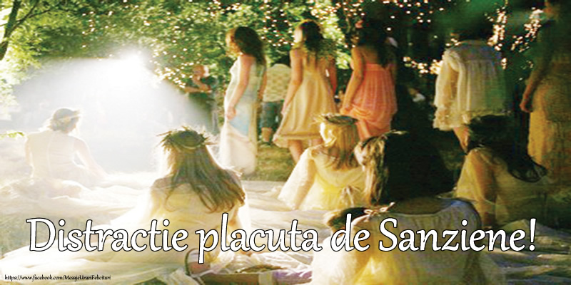 Felicitari de Sanziene - Distractie placuta de Sanziene! - mesajeurarifelicitari.com