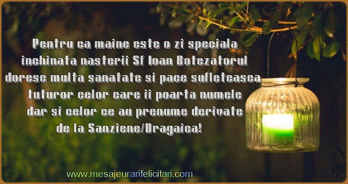 Pentru ca maine este o zi speciala inchinata nasterii Sf Ioan Botezatorul doresc multa sanatate si pace sufleteasca  tuturor celor care ii poarta numele dar si celor ce au prenume derivate de la Sanziene/Dragaica!