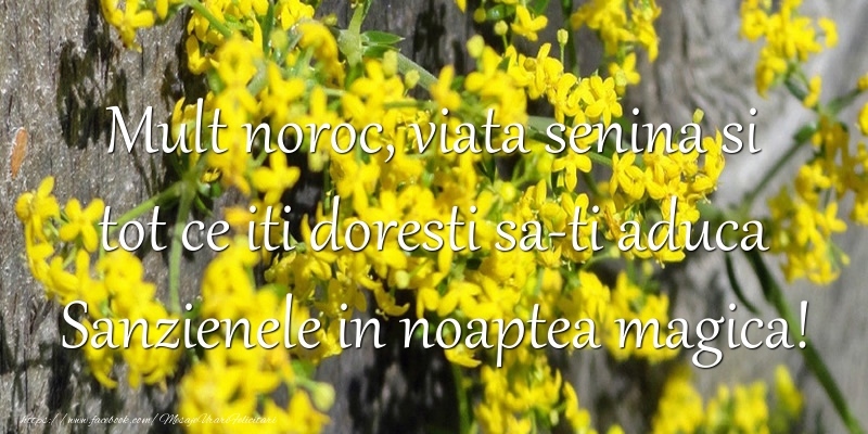 Felicitari de Sanziene - Mult noroc, viata senina si tot ce iti doresti sa-ti aduca Sanzienele in noaptea magica! - mesajeurarifelicitari.com