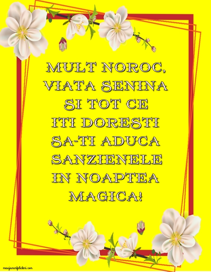 Mult noroc, viata senina