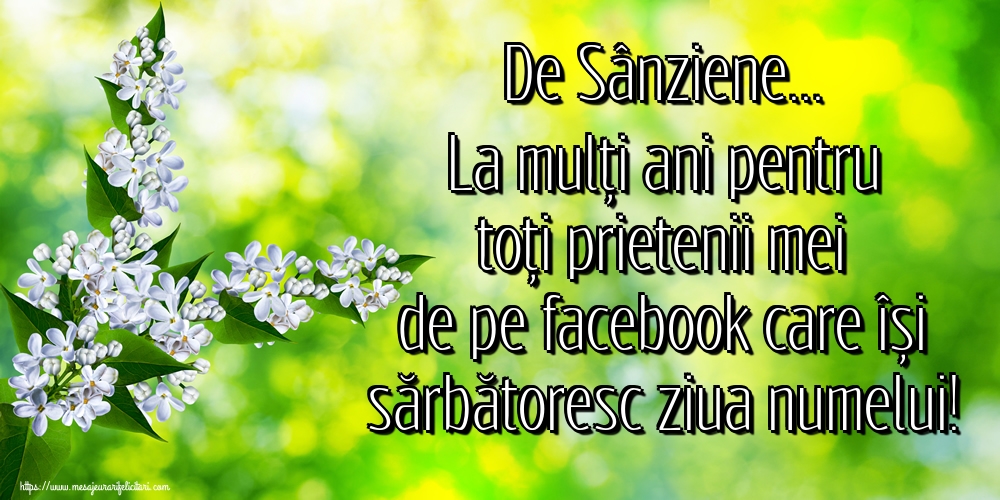 Felicitari de Sanziene - De Sânziene... La mulți ani pentru toți prietenii mei de pe facebook care își sărbătoresc ziua numelui!