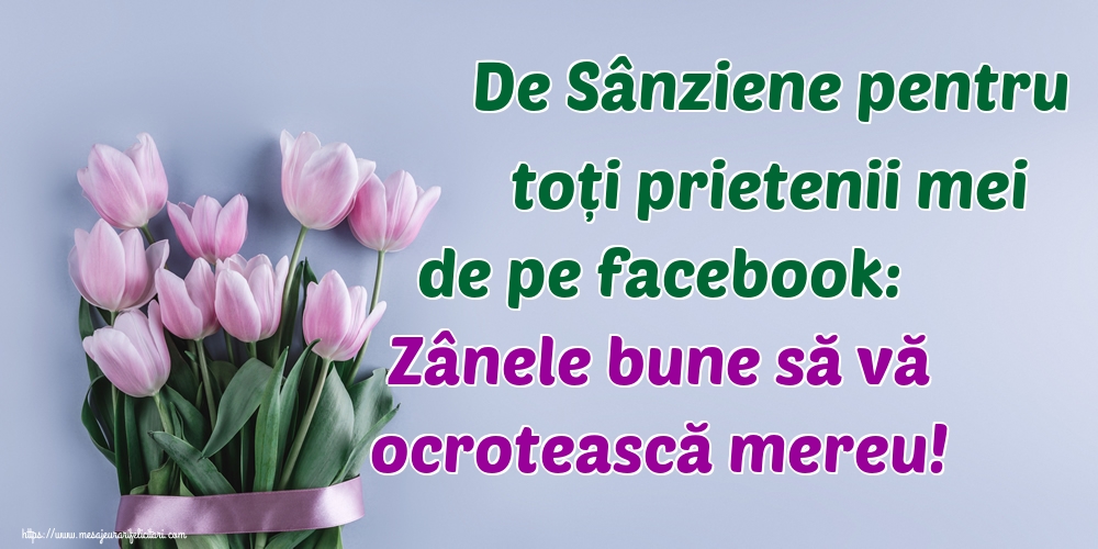 Felicitari de Sanziene - De Sânziene pentru toți prietenii mei de pe facebook: Zânele bune să vă ocrotească mereu!