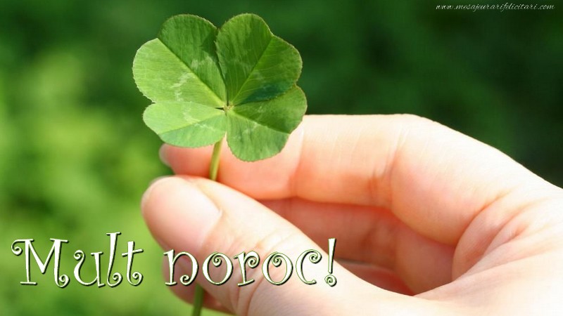 Mult noroc