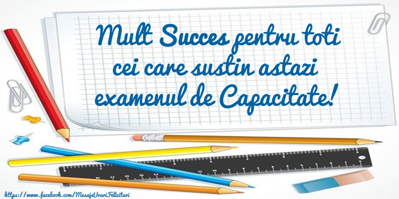 Scoala Mult Succes pentru toti cei care sustin astazi examenul de Capacitate!