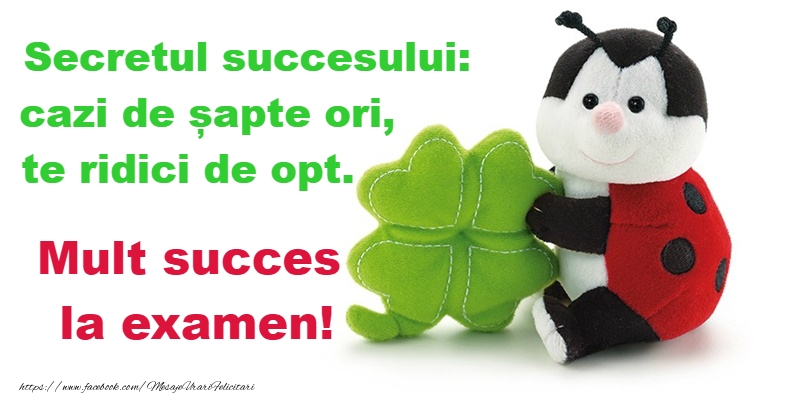 Mult succes!
