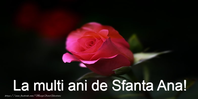 La multi ani de Sfanta Ana!