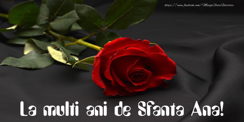 La multi ani de Sfanta Ana!