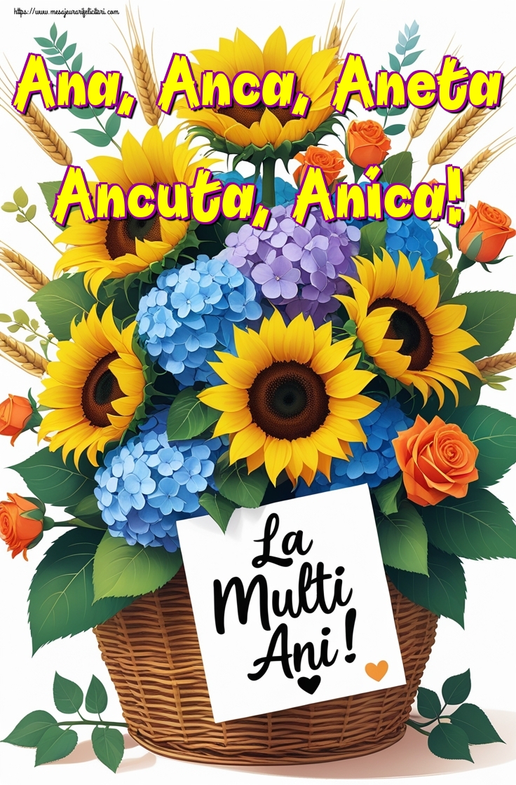 Ana, Anca, Aneta Ancuta, Anica!