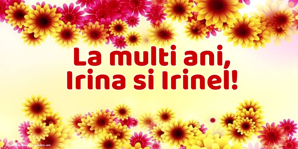 La multi ani, Irina si Irinel!