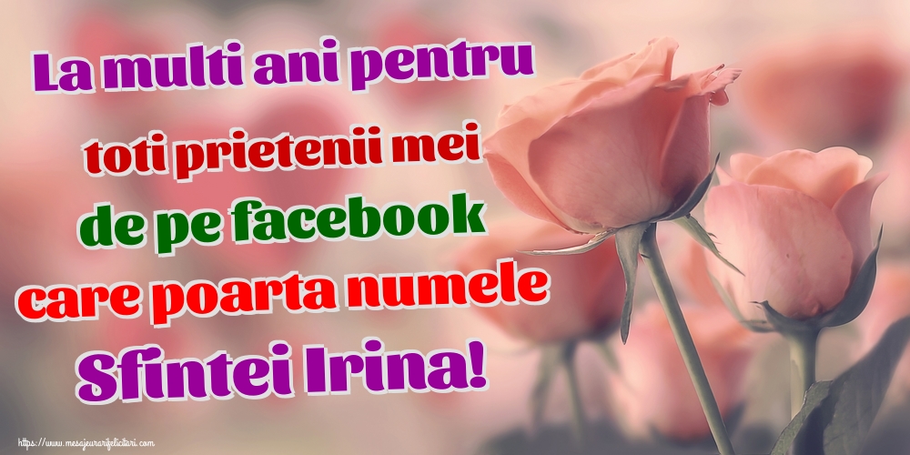 Felicitari de Sfanta Irina - La multi ani pentru toti prietenii mei de pe facebook care poarta numele Sfintei Irina! - mesajeurarifelicitari.com