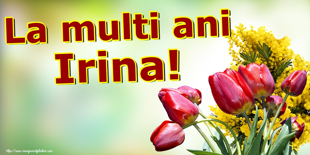 Sfanta Irina La multi ani Irina!
