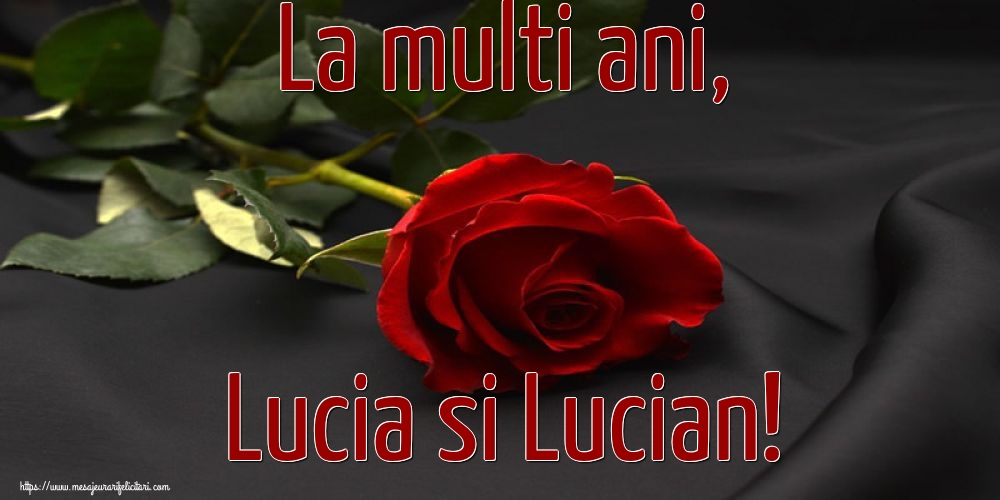La multi ani, Lucia si Lucian!