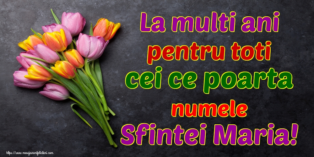 La multi ani pentru toti cei ce poarta numele Sfintei Maria!
