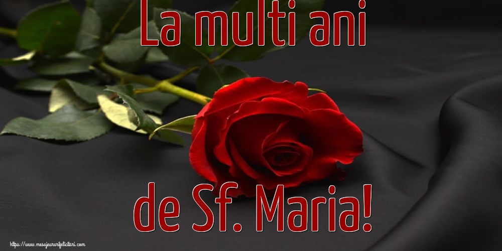 Sfanta Maria Mare La multi ani de Sf. Maria!