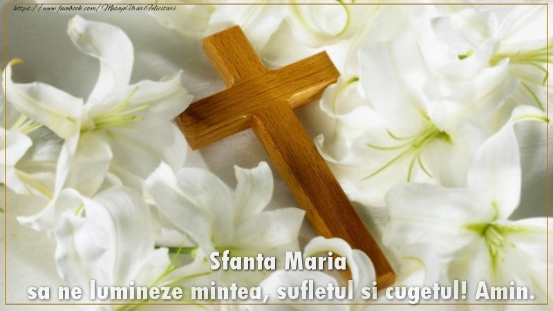 Felicitari de Sfanta Maria - Sfanta Maria sa ne lumineze mintea, sufletul si cugetul! Amin. - mesajeurarifelicitari.com